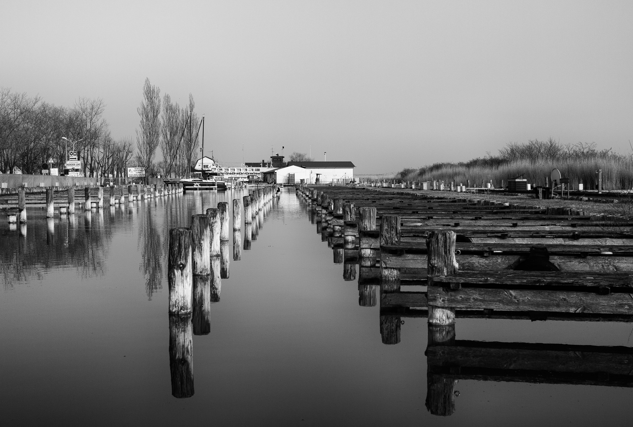 IMG_0601_ret