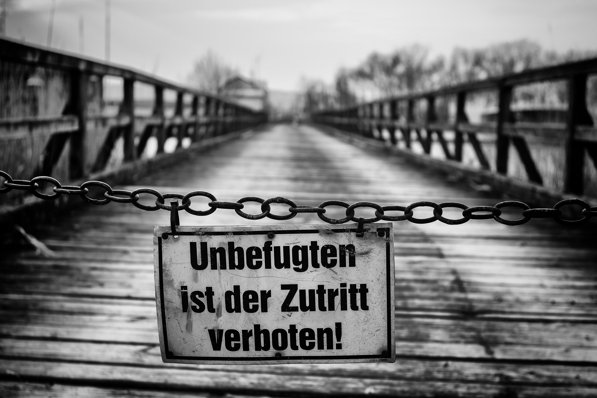 IMG_0664_ret