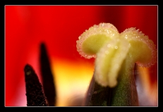 IMG_7508_ret