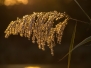 Herbst (Shooting)