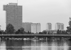 DSC_7347