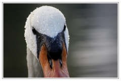 _MG_8094_DxO_small