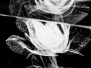 Macro (Shooting)