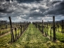 Natur (Thomas)