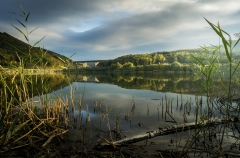 DSC00529_ret