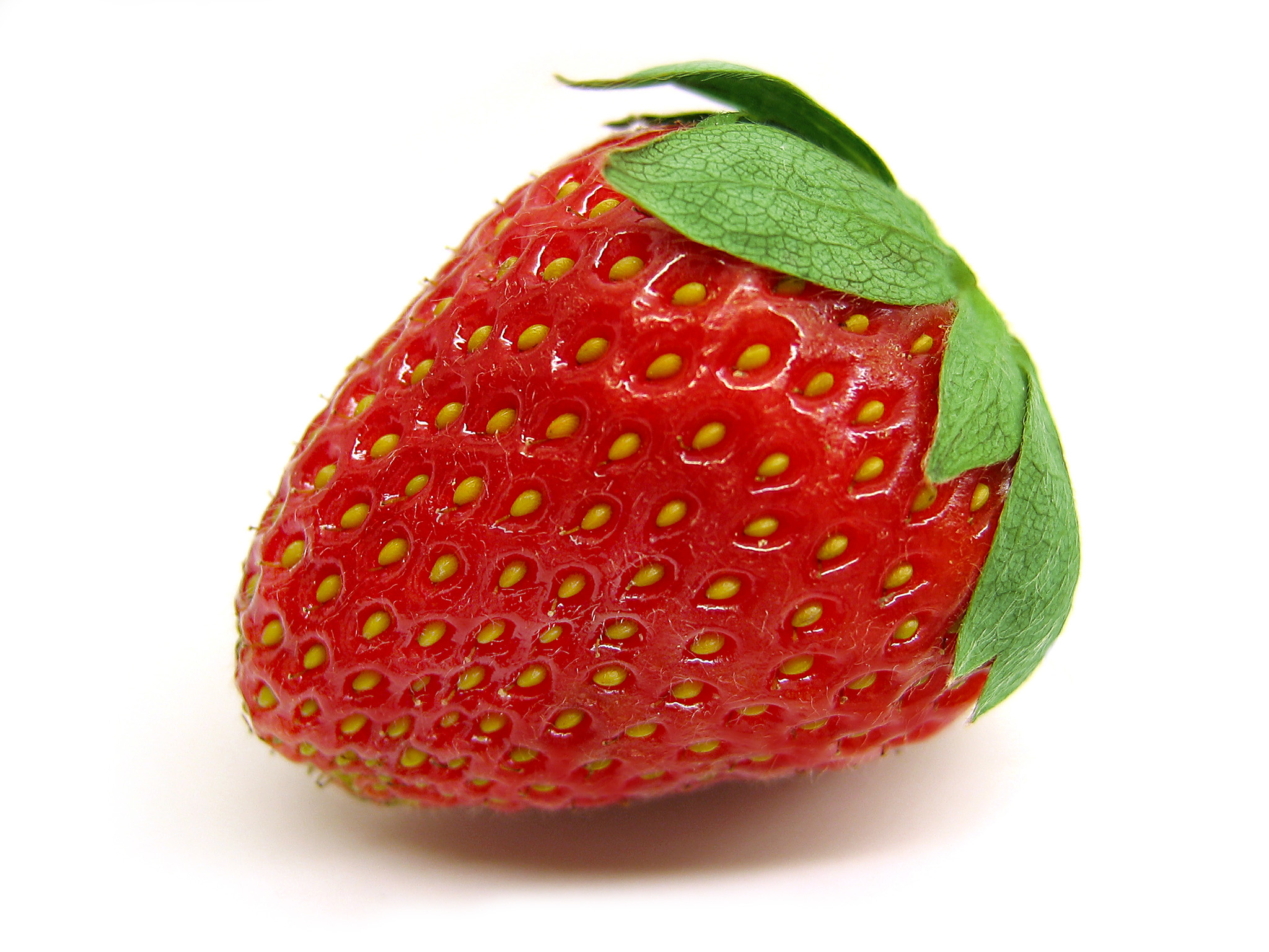 erdbeere1